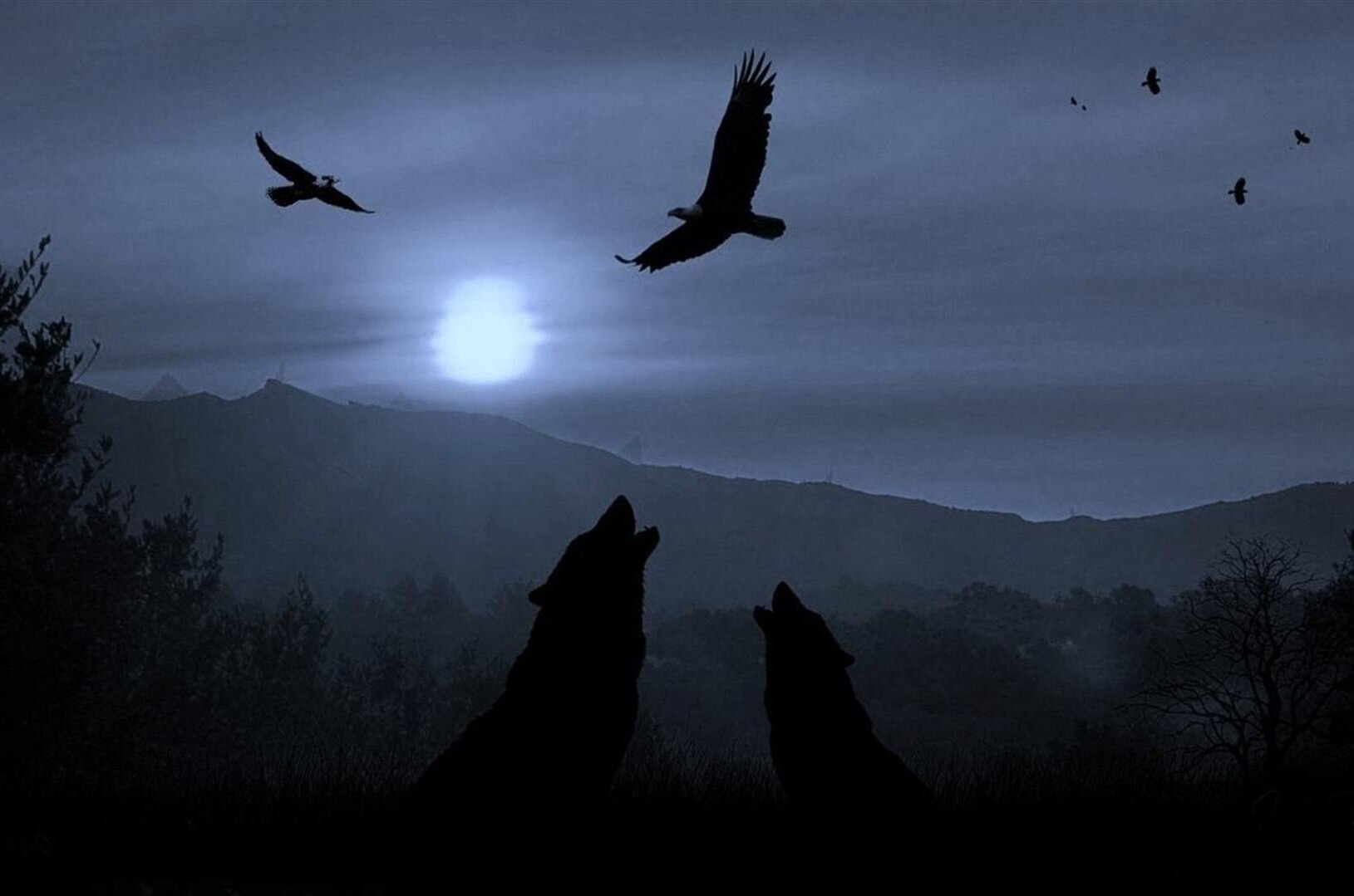 Two wolves howling in the dark of night 